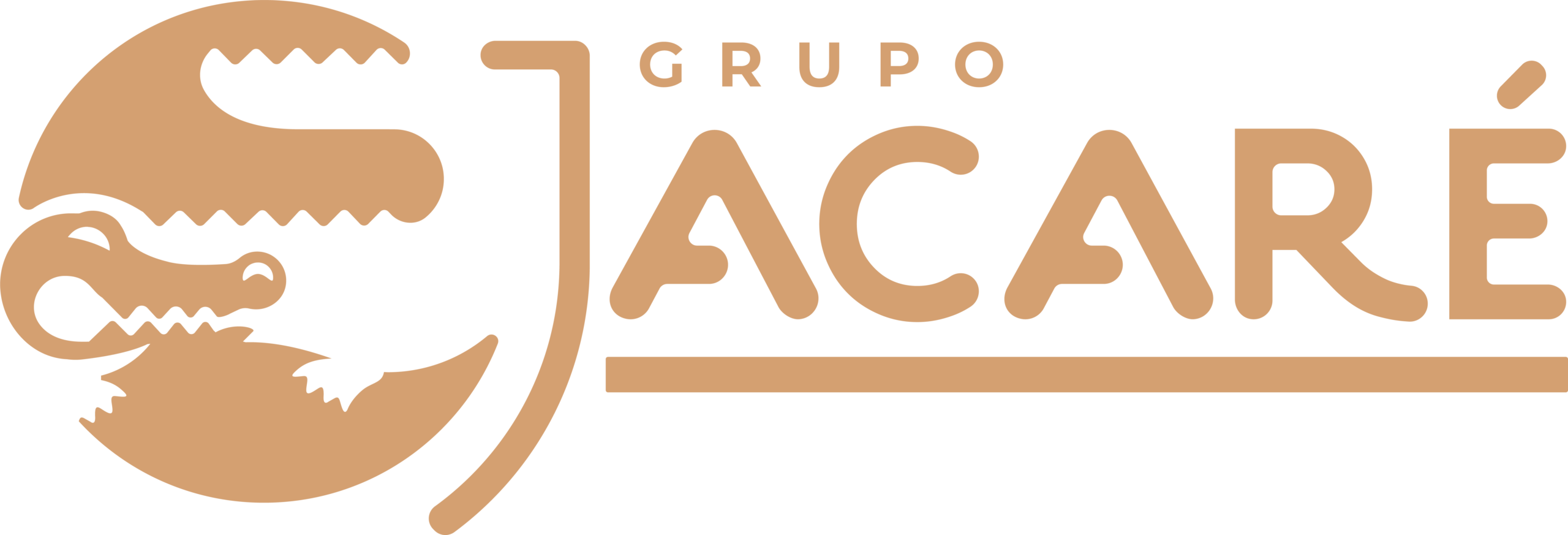 Jacare_grupojacare-cor